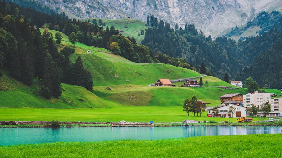 kelly_mask